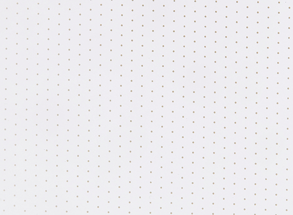 Projection-Screen-Perforated-White
