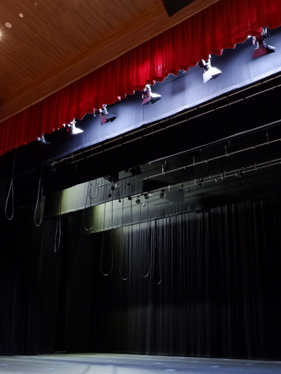 Sharjah Performing Arts Academy, UAE